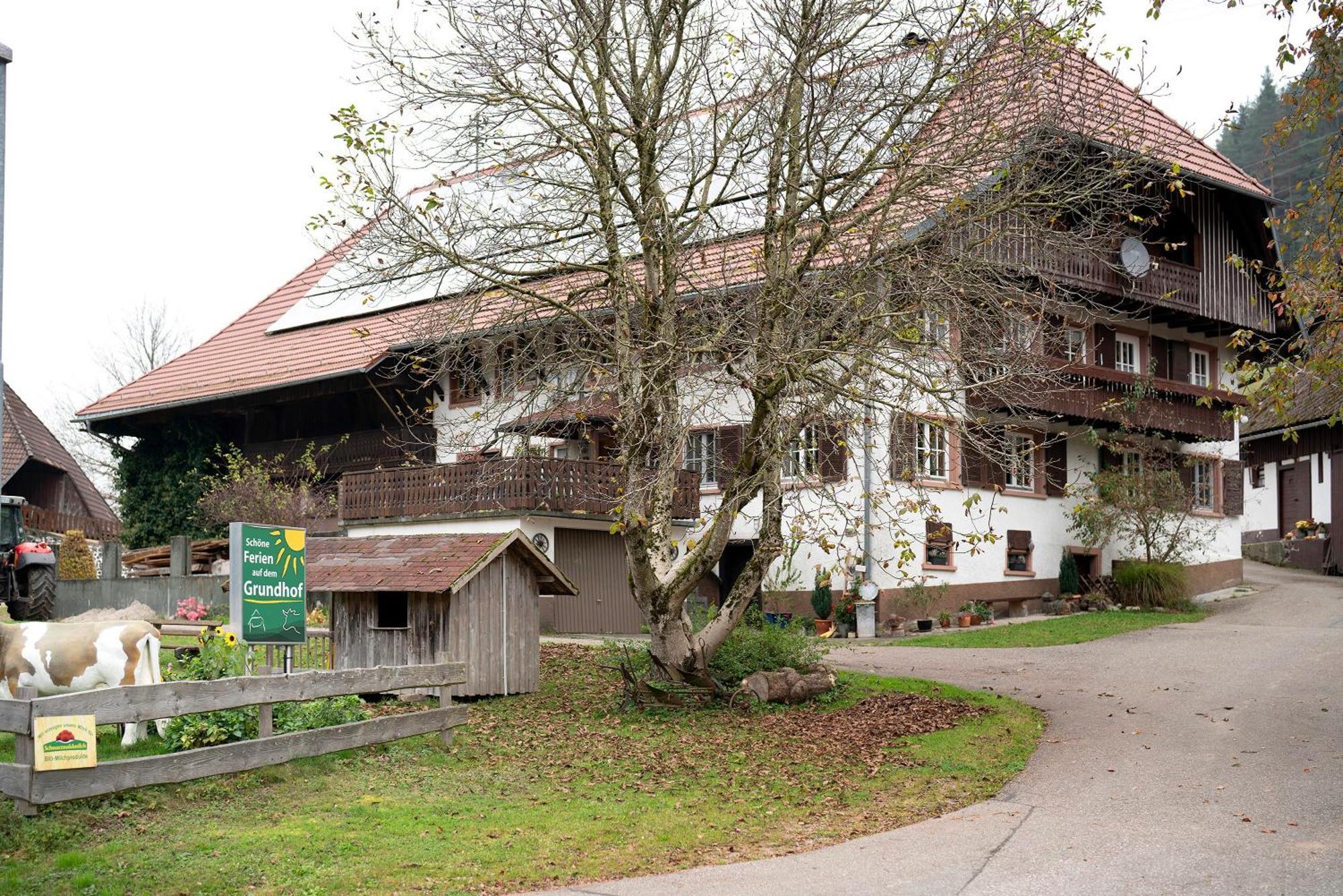 Grundhof Villa Oberprechtal Exteriör bild